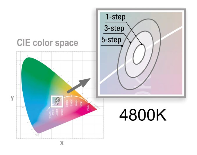 Farborttoleranzen im CIE-Farbraum: MacAdam-Ellipsen bei 4800 Kelvin (Bild: LED2Work).